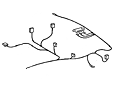 54 Equipamiento eléctrico U. Instrumentos - Cable para luces traseras