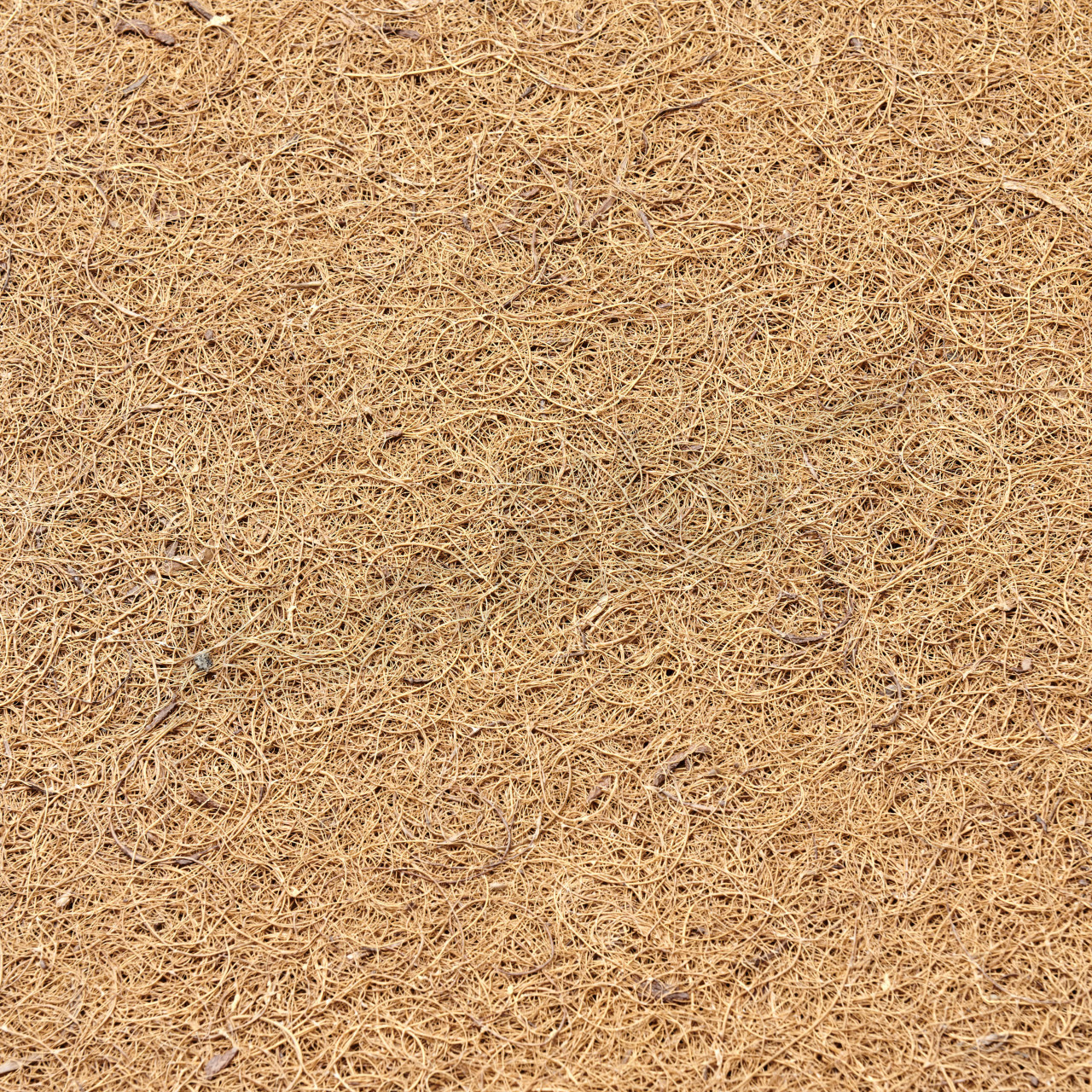 B 91 257 - Koltuk minderi / kauçuk saç ped