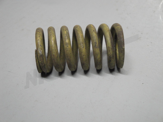 C 25 016b - Spring 55,5 mm high, 28,6 D