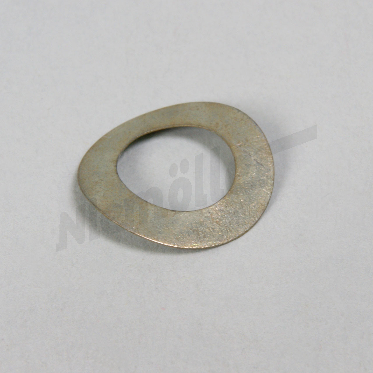 G 26 022 - Myjka wiosenna