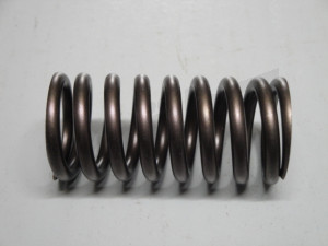 C 05 079 - valve spring