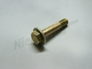 D 22 096 - Screw