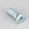 F 72 395 - Screw