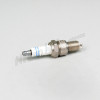 D 15 299 - sparkplug