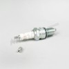 D 15 301 - Spark plug, Champion