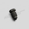 D 46 505 - Screw plug R.L.