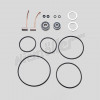 D 47 143f - gasket kit for fuel pump big version including carbon brushes