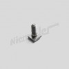 D 75 076 - Screw