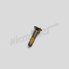 D 91 509 - Screw