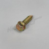 G 49 043 - Self-tapping screw / fixing mudguard 5.5x16 SW8