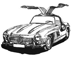 Wing door 300 SL